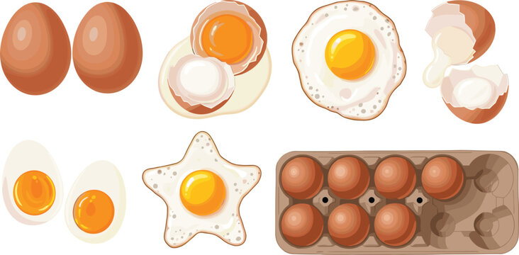 Vector set of fresh brown eggs fried eggs star shaped egg boiled egg halves and eggs in cardboard carton.