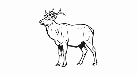 Fototapeta premium A black and white line drawing of a stag standing on a plain background