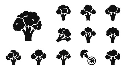 Obraz premium Collection of Broccoli Illustrations Showing Various Stages of Growth and Views