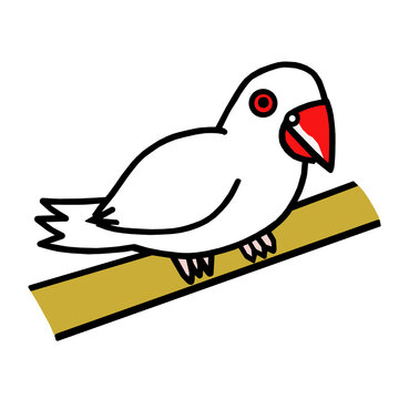 文鳥