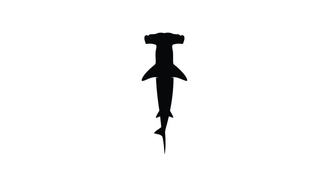 Hammerhead shark viewed from above a striking black shape silhouette