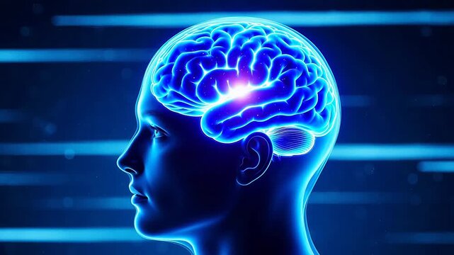 Human brain activity illustration