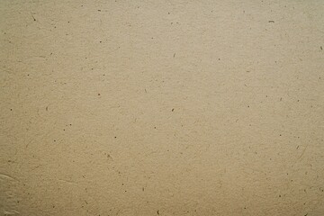 Obraz premium Beige cardboard surface texture with visible fibers and speckles