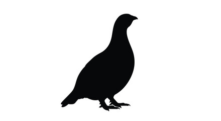 Obraz premium A striking black silhouette of a pheasant in profile silhouette