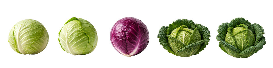 Obraz premium Cabbage head on a transparent background. Green cabbage, red cabbage, Savoy cabbage. Fresh green and red cabbage on a transparent background.