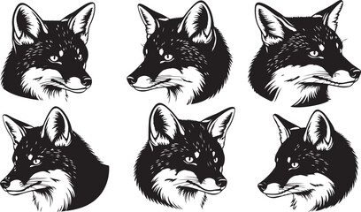 Fototapeta premium Black and white fox head illustrations in various poses