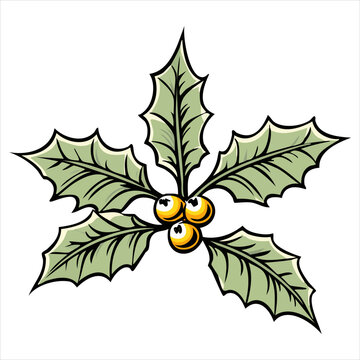 Illustration of holly leaves and berries on white background.