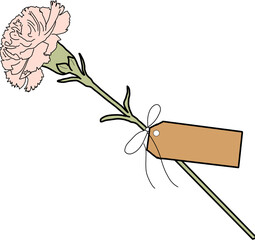 가정의 달 분홍 카네이션 로즈 