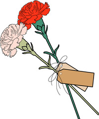 핑크 빨강 카네이션 꽃다발 