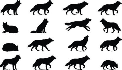Obraz premium Collection of wolf silhouettes in various poses including standing, running, sitting, lying down, perfect for wildlife design illustrations