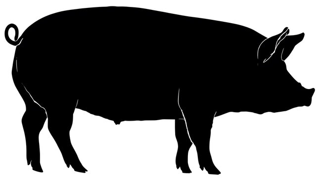A silhouette of a pig standing, presenting a minimalist aesthetic
