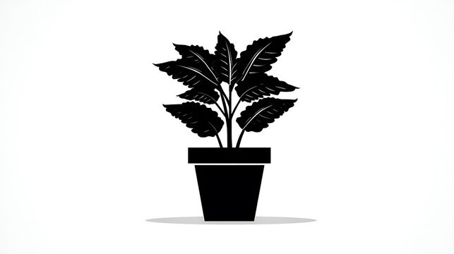 A black silhouette of a potted plant. The plant features leaves in detail