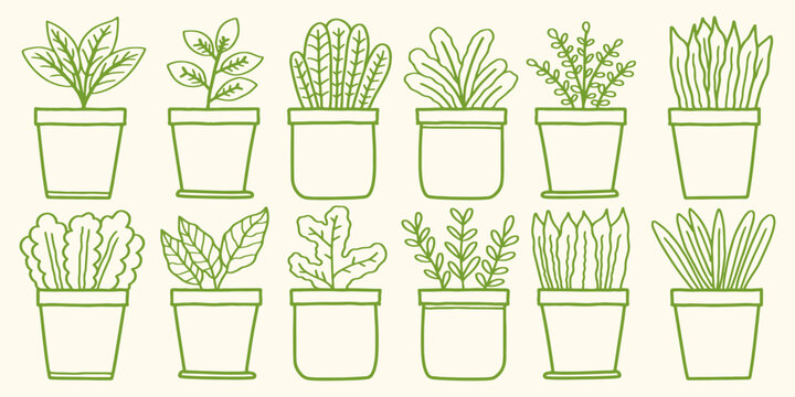 Set of potted houseplants line art vector illustration in green. Hand drawn houseplant doodle set in minimal line art style for home decor, nursery poster, sticker and printable design
