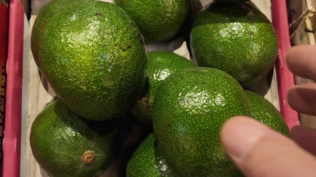 A customer chooses in a supermarket ripe fresh avocados