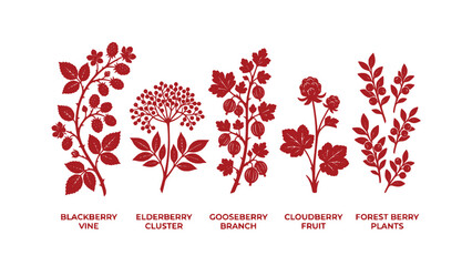 Adobe Illustrator Artwork © Ajoy