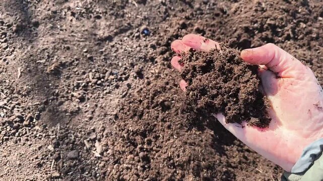 Authentic Real Footage of Brown Garden Peat - Natural Organic Substrate for Greenhouse Soil Improvement
