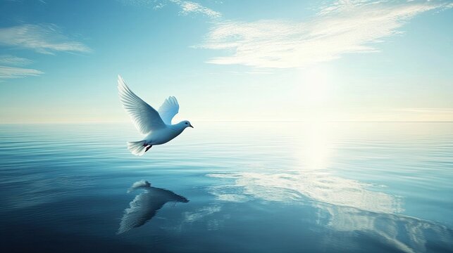 White dove flying over calm ocean water at sunrise, sunlit sky with clouds, reflection on water, symbolizing peace, freedom & natural serenity in tranquil seascape