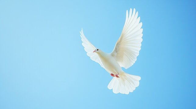 A white dove soars in the cloudless blue sky, flapping its wings with soft white feathers, symbolizing peace, freedom, and natural serenity in midair flight.