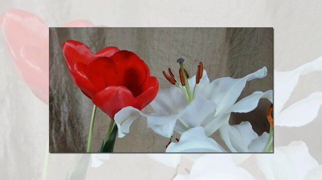 Fioritura rapidadi fiori in metodo timelapse
