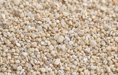 Fototapeta premium Abstract natural texture of countless tiny golden sand grains and weathered shell fragments creating a serene backdrop
