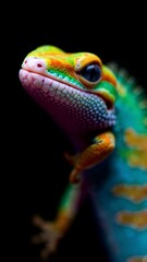 Fototapeta premium Vibrant Close-Up of a Colorful Lizard on Black Background