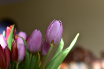 Obraz premium bukiet tulipanów w wazonie