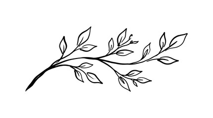Elegant hand-drawn branch with leaves, showcasing nature's beauty in a minimalist style