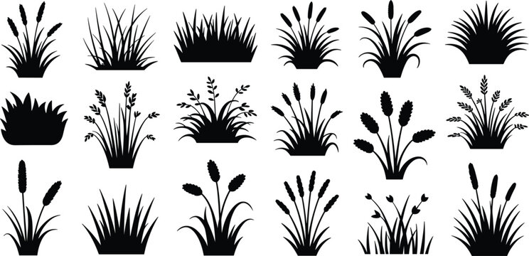 Large set of black grass and reed silhouettes with various cattail and botanical plant elements isolated on white background for landscape design.