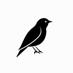 Obraz premium Black bird silhouette illustration on white background vector design