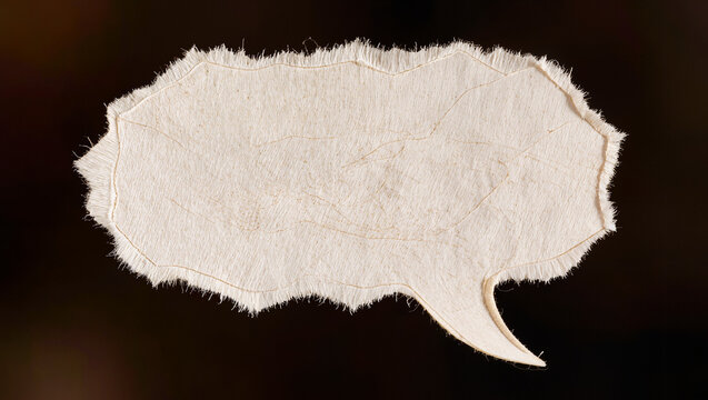 Blank Torn Paper Dialogue Bubble on Dark Background
