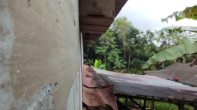 Natural tropical landscape featuring banana trees and lush green vegetation under a dark cloudy sky before rain. Calm rural scenery with dramatic storm clouds, representing rainy season weather and tr