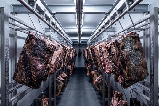 Dry Aged Beef Carcasses Hanging in Industrial Meat Cold Storage