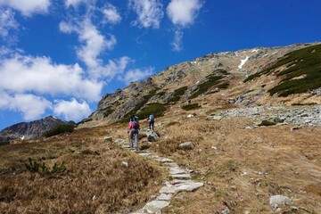 Fototapeta premium Hikers climbing mountain trail toward rocky summit on sunny day