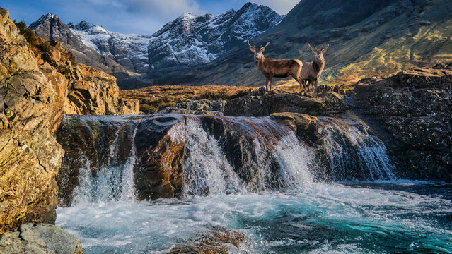Cuillin Mountains and the Fairy Pools