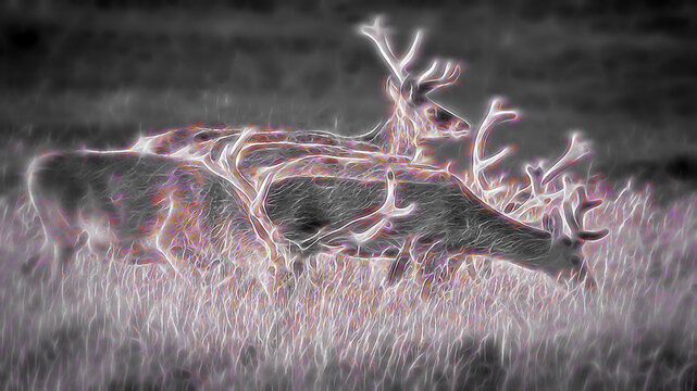 Red deer in an abstract design