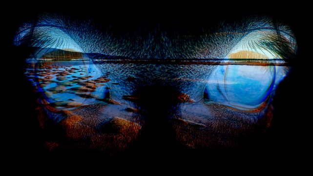 A Highland beach through a horse's eyes
