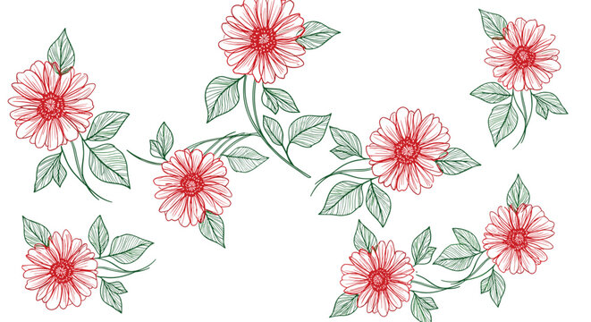 Hand-drawn set of beautiful red gerbera daisy flowers with green leaves in a detailed sketch or engraving vector art style.
