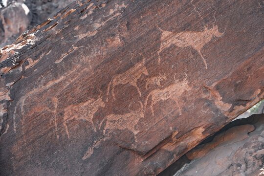 Depictions of animals on a rock slab, petroglyphs, rock engravings, Twyfelfontein, Kunene, Namibia