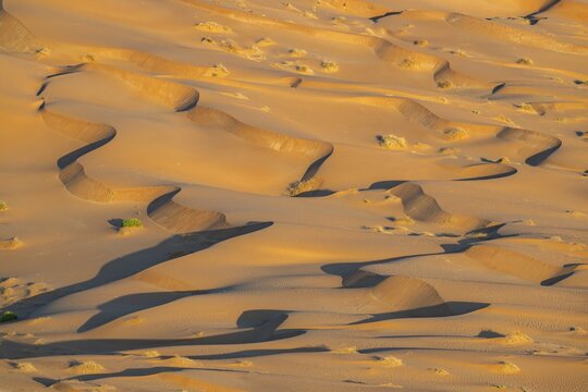 Sand dunes in the Rub Al Khali desert, the world's largest sand desert, Empty Quarter, Oman