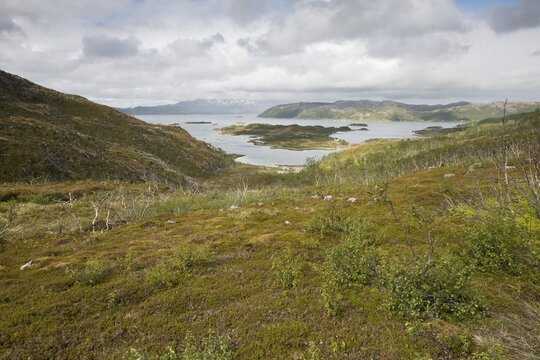 Fjell Landscape, Kvaloya, Norway