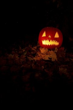 Glowing pumpkins at night, pumpkin face, carved pumpkins, grimace, halloween, dark background
