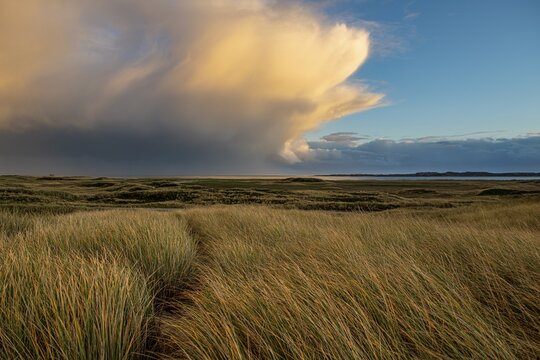 Dune Landscape with Thundercloud, Elbow, List, Sylt Island, Germany