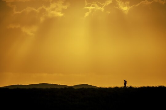 Hunter with rifle hunting, in dune landscape at golden hour, Elbow, List, Sylt Island, Germany