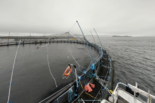 Large fish farm in the water with nets under cloudy sky as background