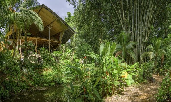 Cascada Verde Hostel, Uvita, Puntarenas Province, Costa Rica