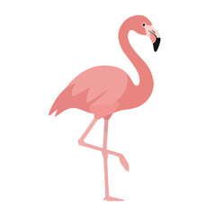 A cute pink flamingo vector illustration with a pastel color palette, standing alone against a clean white background, conveying a spring wildlife graphic with a colorful animal silhouette