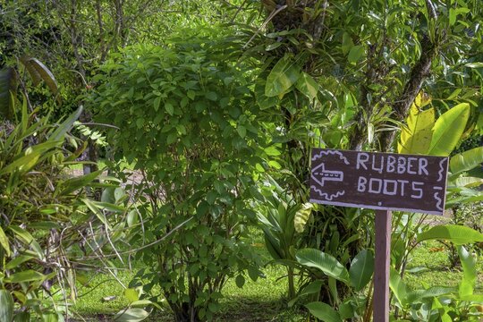 Shield Rubber Boots, Laguna del Lagarto Eco-Lodge, San Carlos, Alajuela Province, Costa Rica