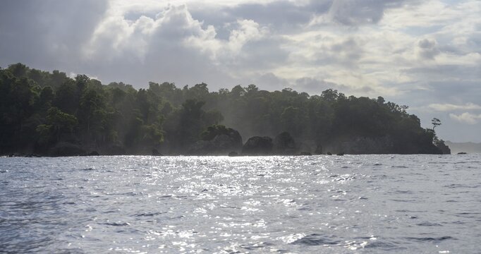 Forested coast, boat trip to Corcovado National Park, Puntarenas Province, Costa Rica