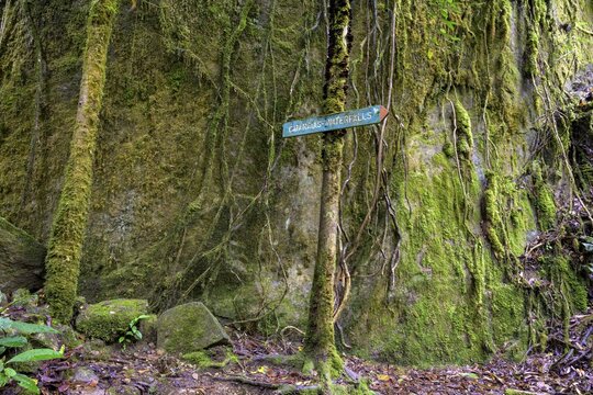 Signpost for the waterfall at Rio Savegre, San Gerardo de Dota, San Jos&eacute; Province, Costa Rica