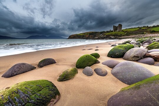 Sandy beach beach with moss-covered stones and Minard Castle in the background, Dingle Peninsula, Kerry, Ireland